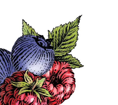Mixedberries_lowfatdrinkable_ProductIllustration