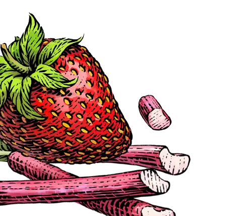 strawberry rhubarb illustration