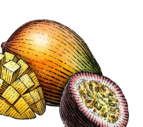 mangopassionfruite_lowfat_ProductIllustration
