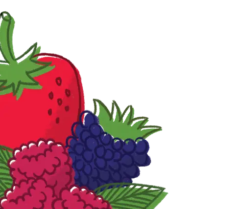 mixed berry illustration