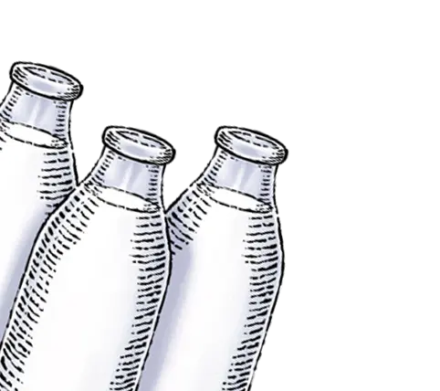 plain_24ozwholemilk_ProductIllustration