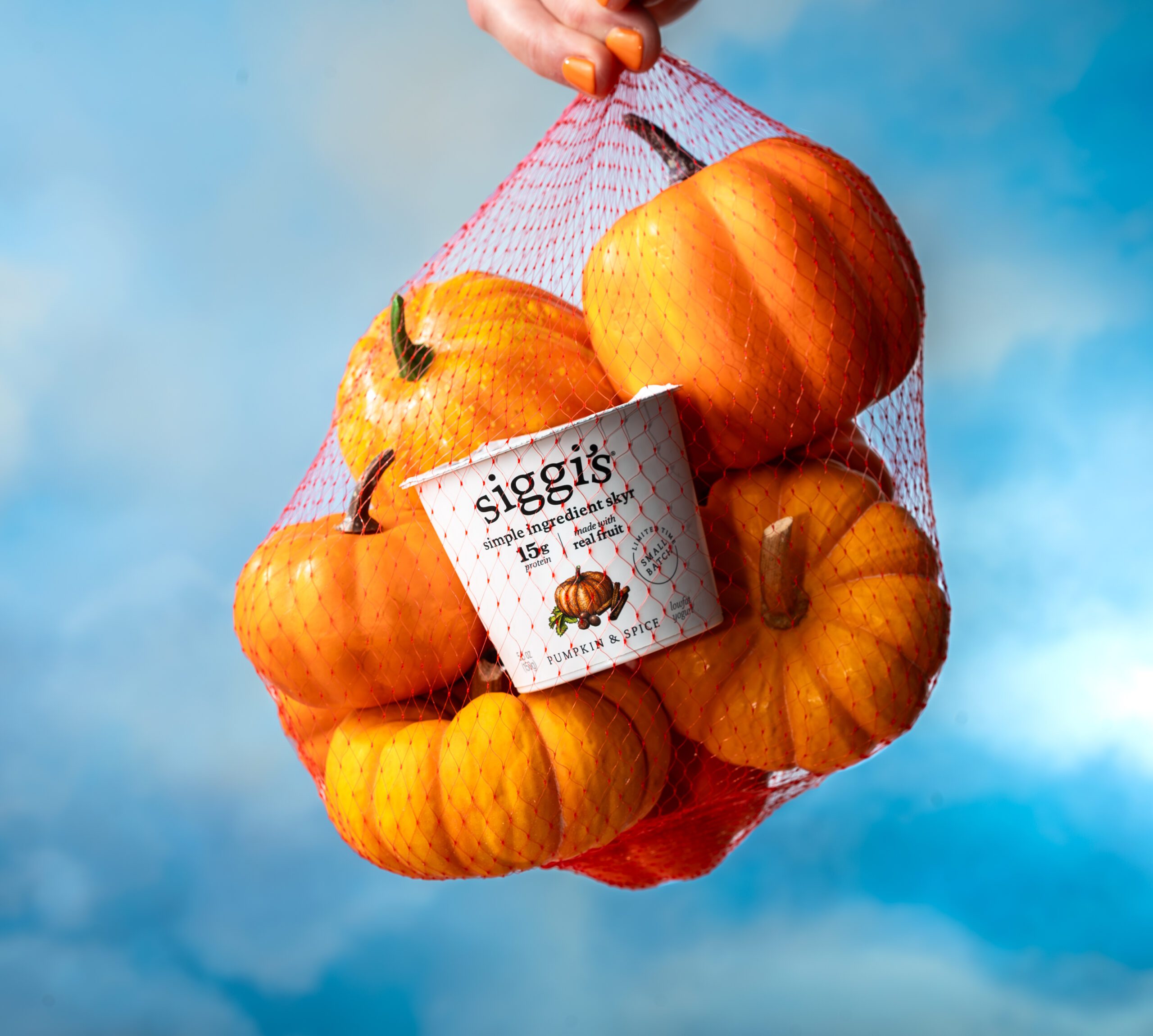 siggi's pumpkin & spice skyr