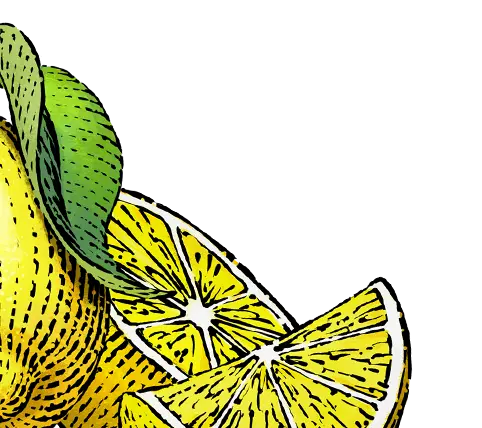 zestylemon_R&C_ProductIllustration