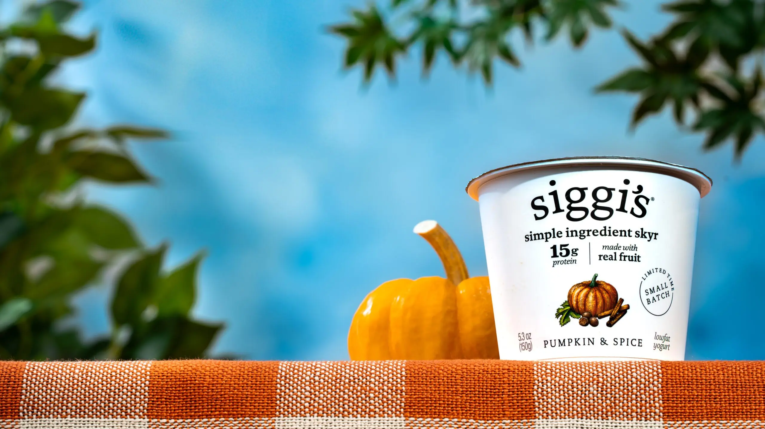 siggi's pumpkin & spice skyr