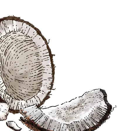 coconut animated graphic